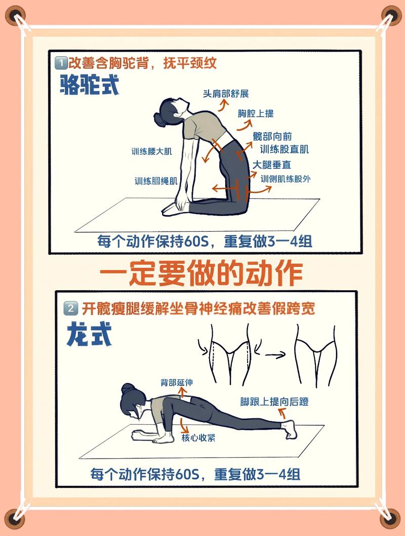 人体美的哪两大规律构成了其独特魅力？