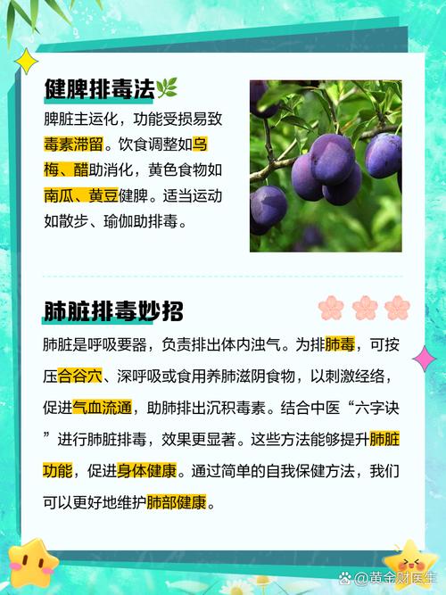 如何通过四个最佳排毒减肥方法有效除便秘和清除体内油脂？