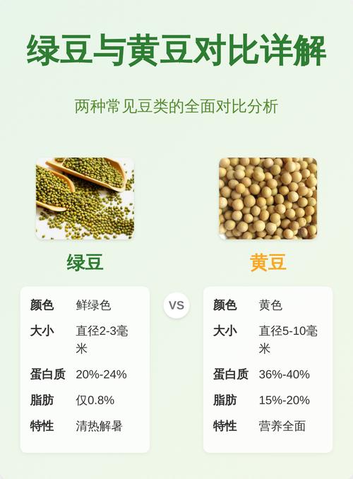 黄豆和绿豆，哪一个是肉，哪一个是粮呢？