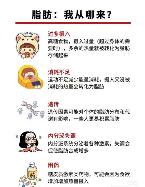 脂肪究竟从哪里来是人体合成还是外界摄入？