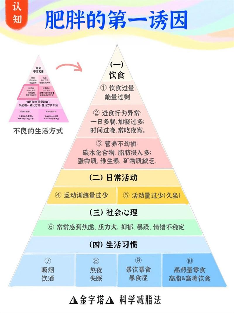 如何将健康减肥提升至金字塔层级才能确保成功？