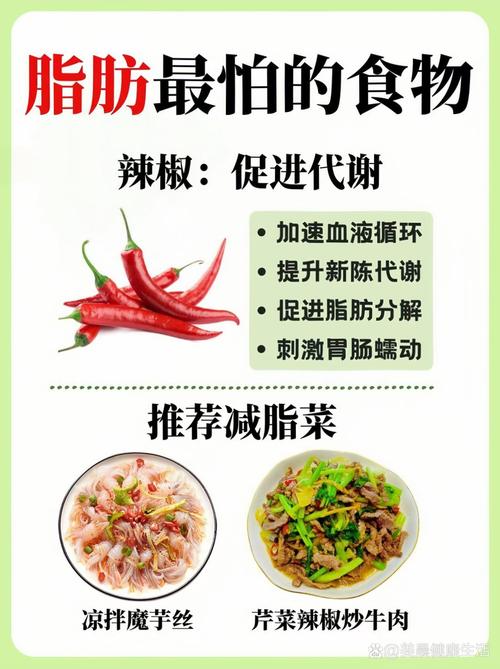 科学家试制的这种新食品真的嫩帮助减肥吗？