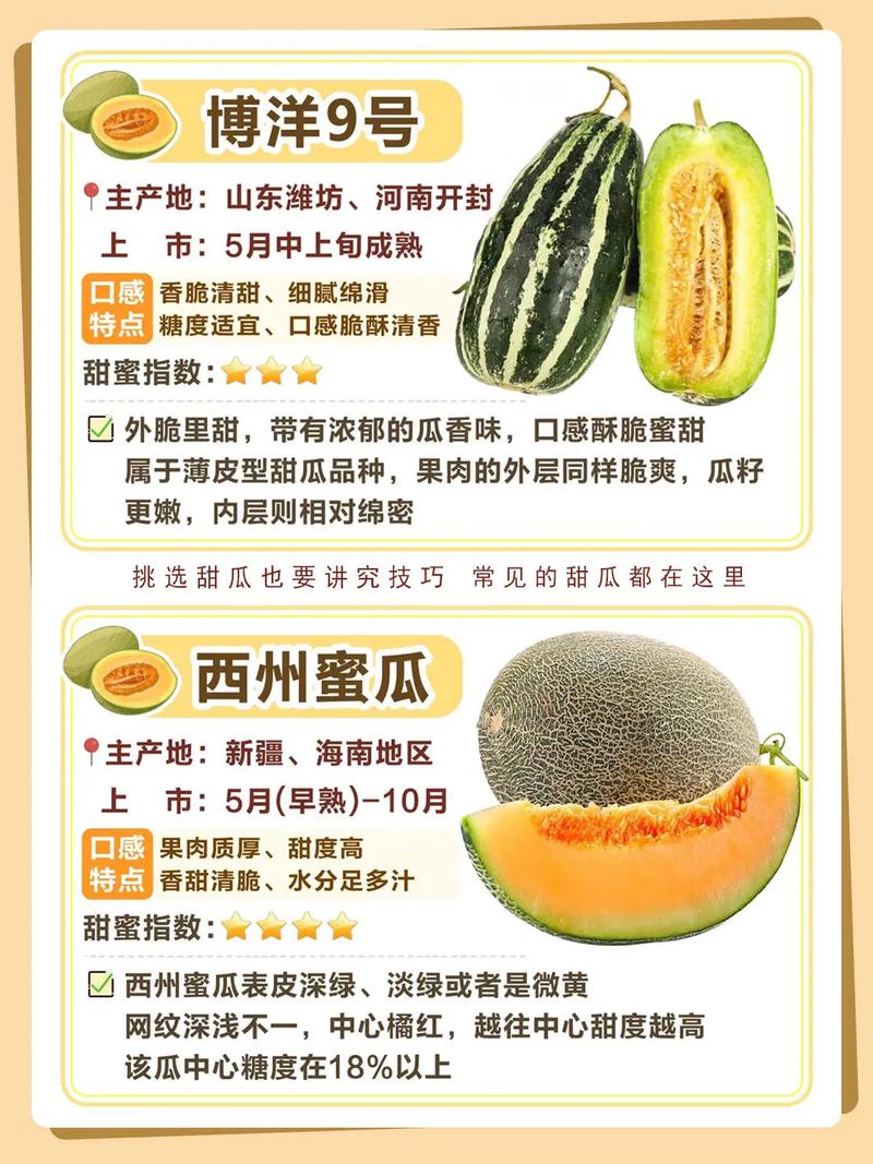 为什么选择甜瓜？低卡又养颜，三大理由让你心动！