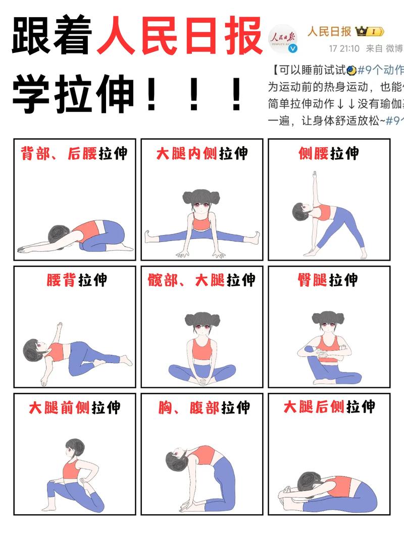 有哪些拉伸运动是公认的12种最佳选择呢？