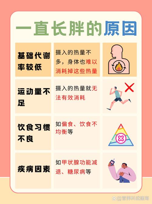 为什么会出现吃得太少却变胖的奇怪现象呢？