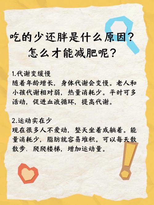 为什么吃得太少反而容易变胖呢？