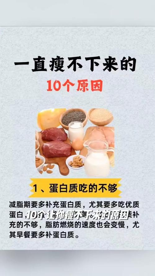 为什么减肥总是失败？揭秘瘦不下来的五大原因！
