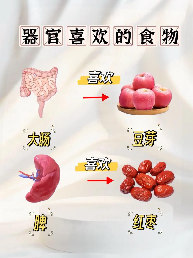 人体十二大器官最爱的食物是什么？