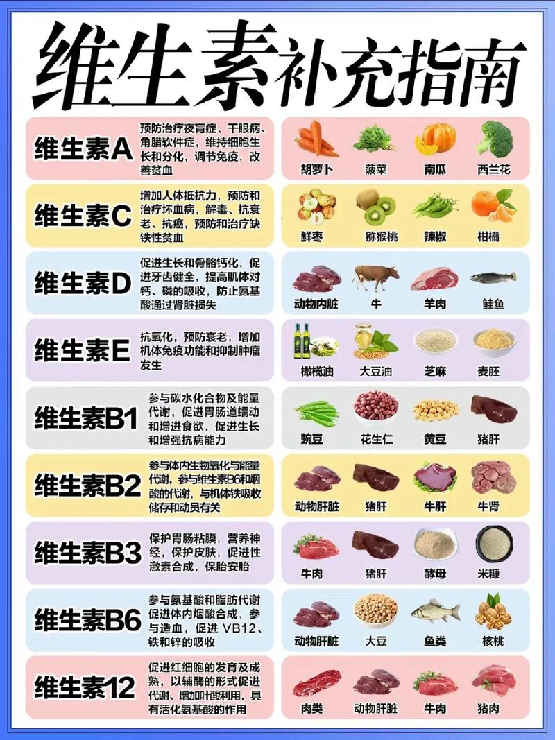 快速减肥初期，我需要补充哪些维生素才能有效进行？
