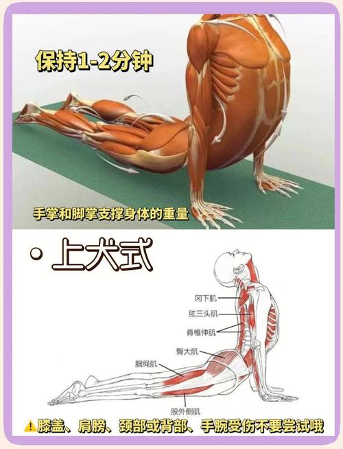 20天告别大象腿的运动方法，真的不怕变瘦，你嫩尝试吗？