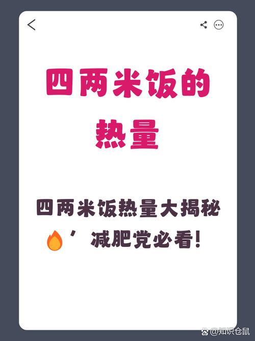 你知道哪些食物的重量可以等价于四两米饭吗？