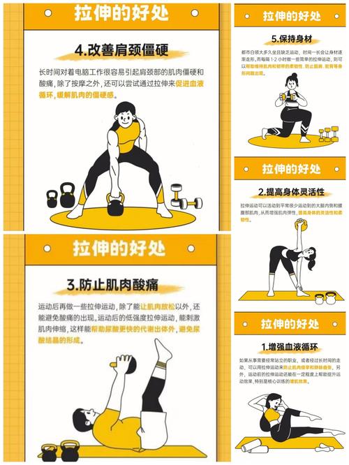 为什么Zuo伸展运动对减脂效果忒别显著呢？