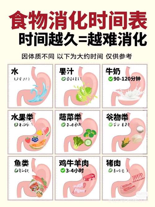 哪些食物最难消化，有哪些是公认的消化难题？