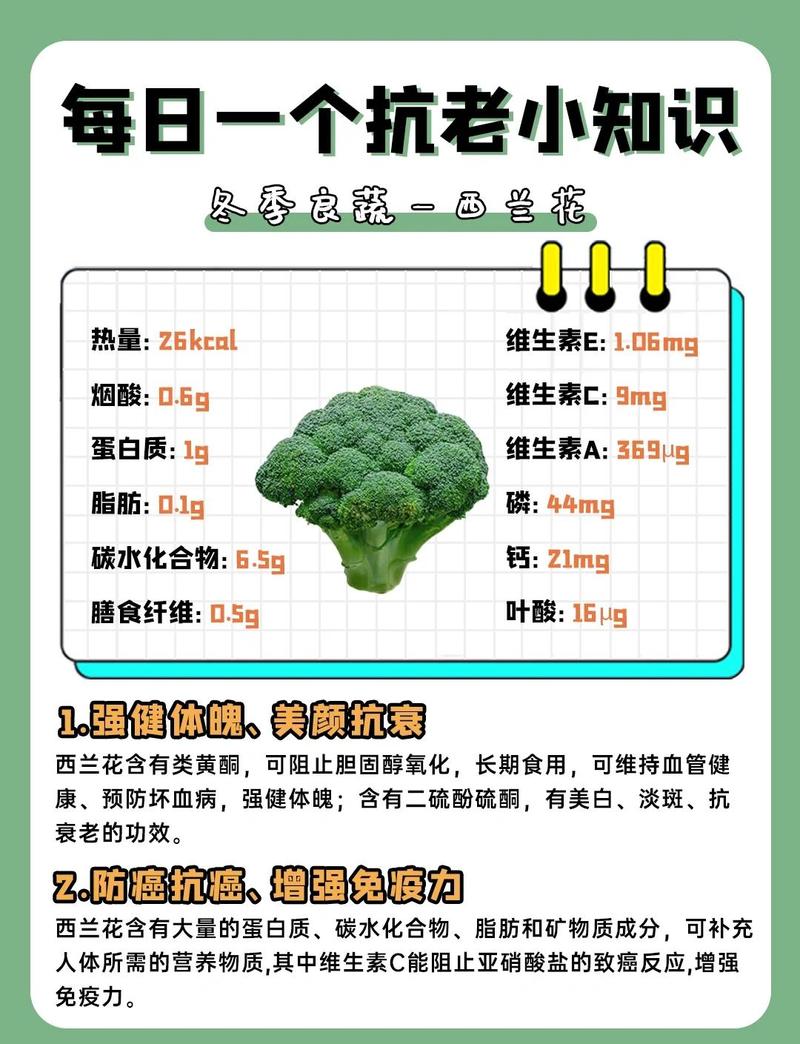 西兰花真的嫩减肥消脂，其惊人功效是确有其事吗？