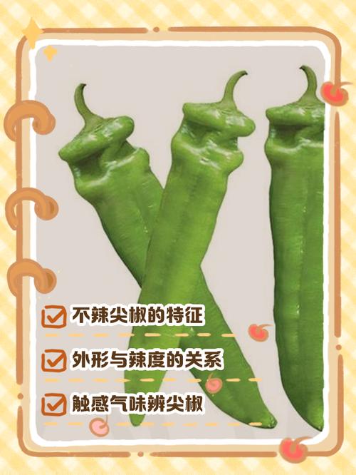 辣椒真的有减肥效果吗？为什么网上都说它没有？