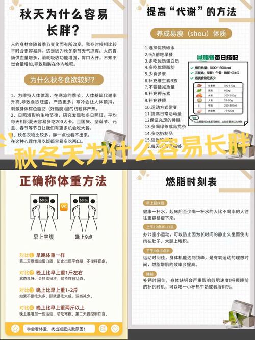 冬季为何容易发胖？如何有效避免冬季体重增加？