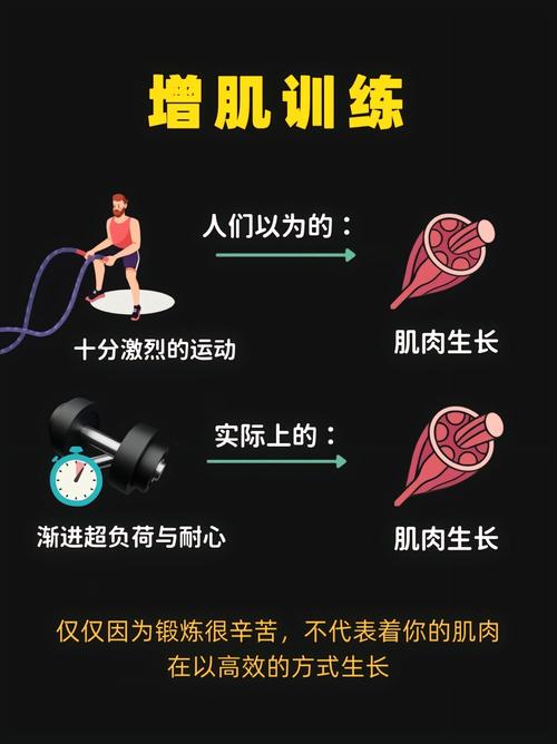 如何让肌肉随心所欲地生长和变化？