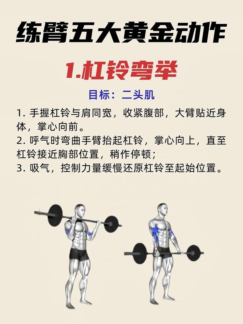 美臂十大绝招具体是哪十种训练方法？