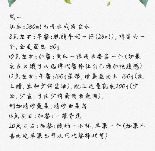 如何只用20天高效减重17斤？分享实用经验！
