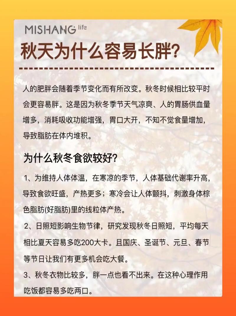 为什么秋天总是让人容易不知不觉地发胖呢？