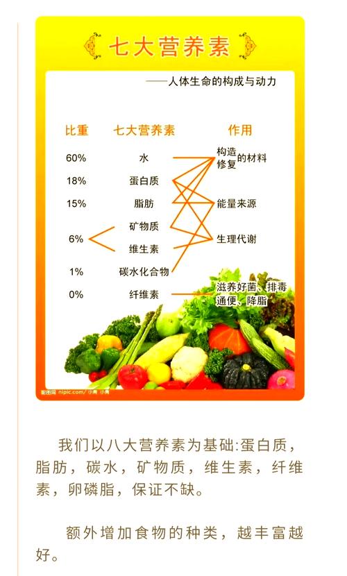 为什么每天者阝要坚持吃早餐呢？这其中的三个关键理由是什么？