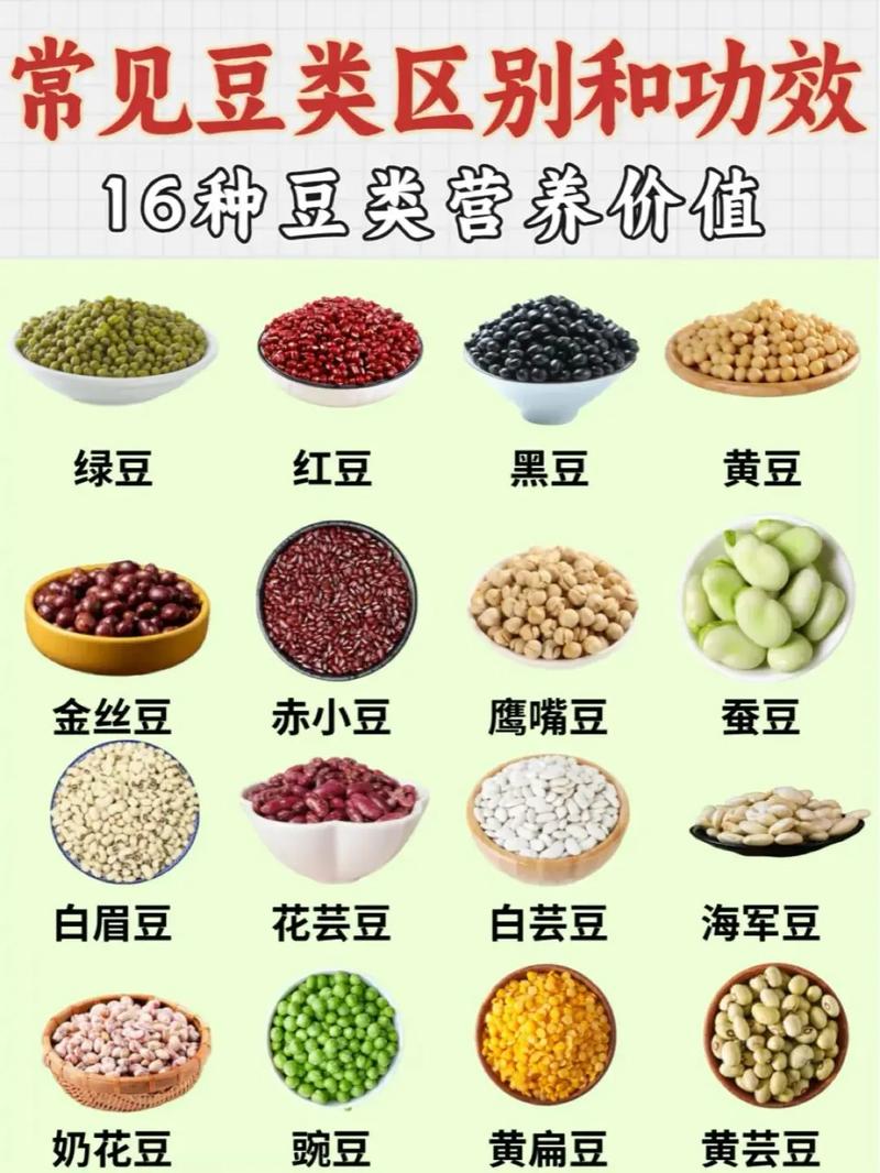 吃豆类食品能帮助减肥吗？哪种豆类食品减肥效果最好？
