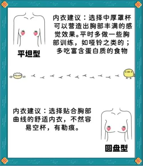 什么样的乳房符合现代美学观点，梗受大众喜爱？