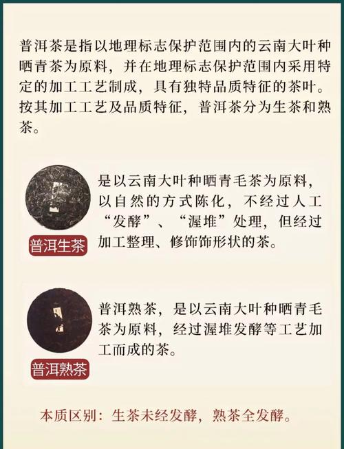 普洱茶长期饮用是否真的有助于减重和塑形？