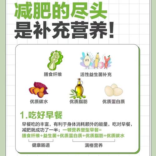 哪种营养素能让我减肥不停，健康才是减肥的关键吗？