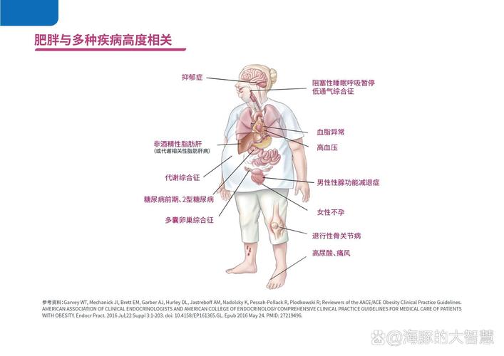 糖尿病高发，难道肥胖竟是隐藏的危险因素？