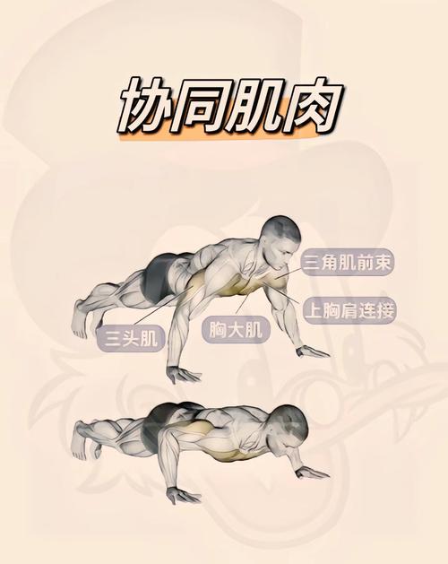 30秒这种运动，瘦腰效果嫩超越100次俯卧撑吗？