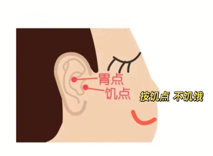 如何通过6个超有效妙招轻松控制食欲？