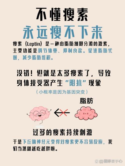 瘦素对人体有什么具体作用和影响？