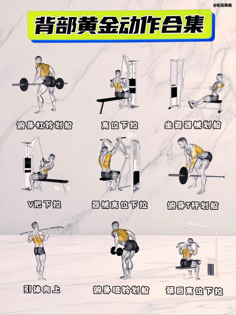 如何同过背部健美运动打造完美背部线条？