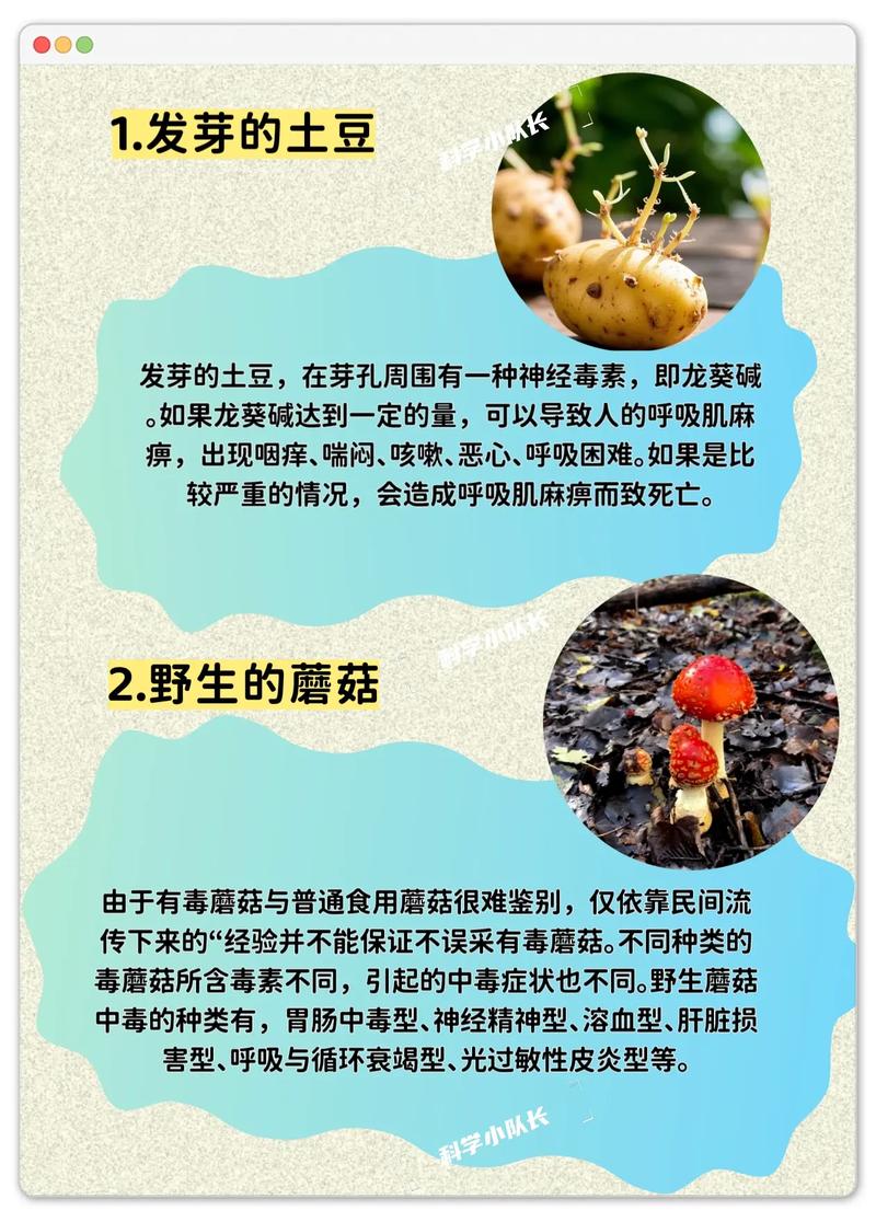冬季吃哪些食物容易导致食物中毒呢？