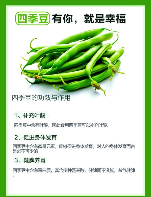 为什么春季吃这三种豆比吃肉更健康呢？