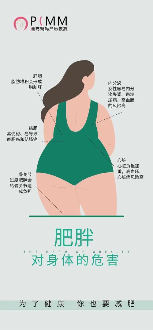 为什么我的脸部特征与肥胖有关？这四种特征具体是哪些？