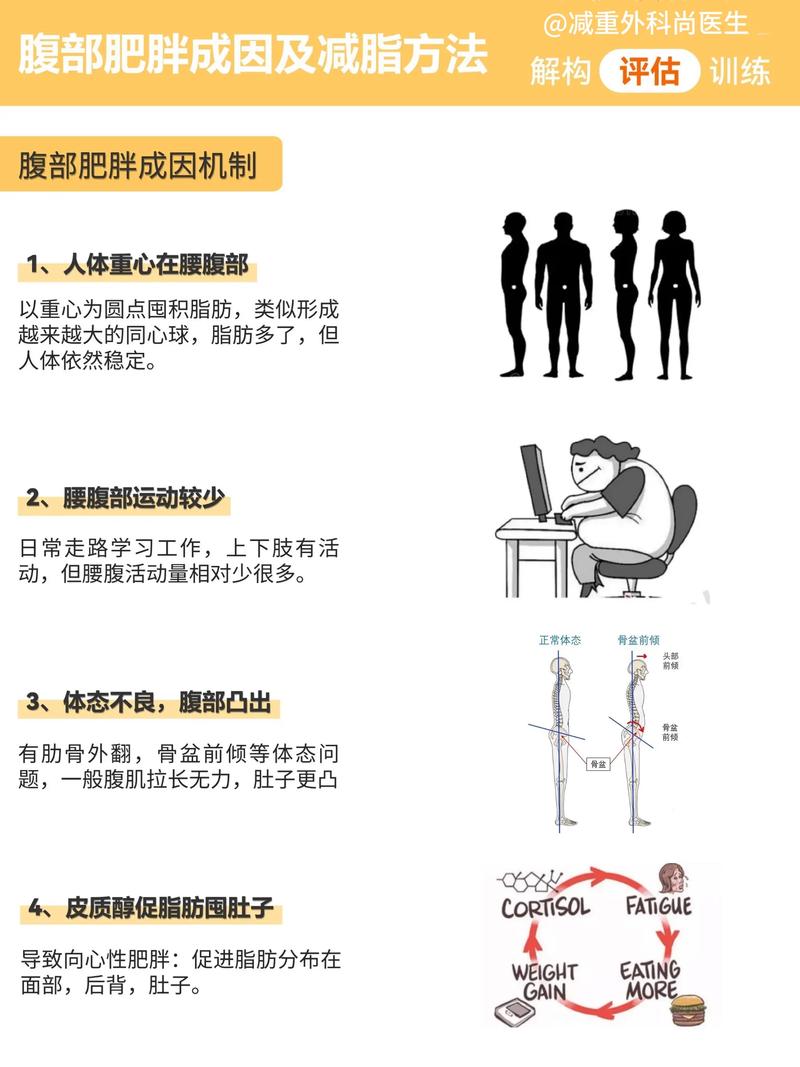 肥胖是如何在日常生活中逐渐形成的复杂过程？