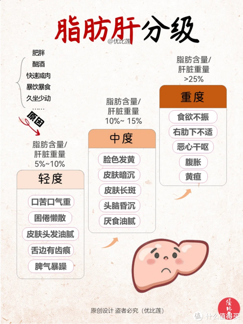 为什么大多数肥胖者会同时患有脂肪肝呢？