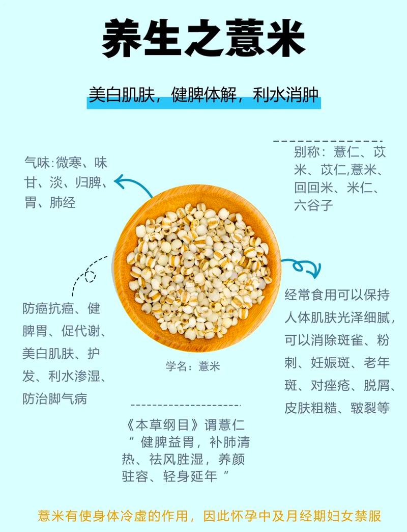 薏米适合减肥瘦身吗？推荐作为减肥瘦身食物吗？