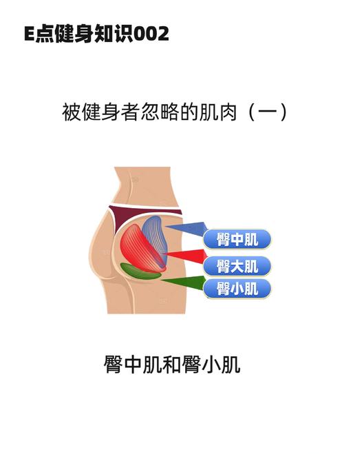 你的臀部肌肉是不是也该起床活动活动了？
