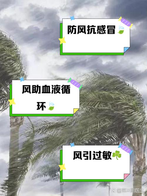 为什么越重的人在大风中反而感觉更凉爽呢？