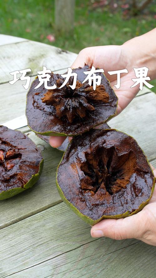 这种味道像巧克力的神奇减肥水果，是不是就是黑人心果呢？