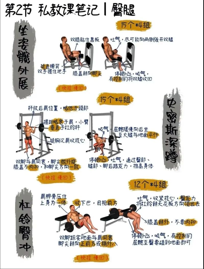 如何制定男士腿部健美训练策略？