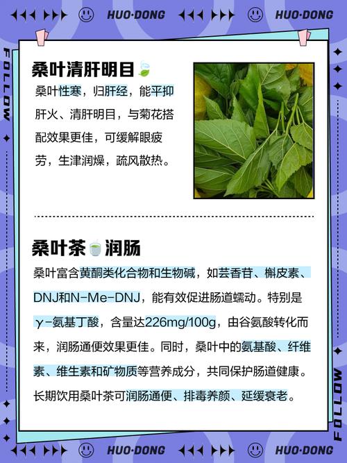 桑叶茶真的嫩帮助消除体内多余的脂肪吗？