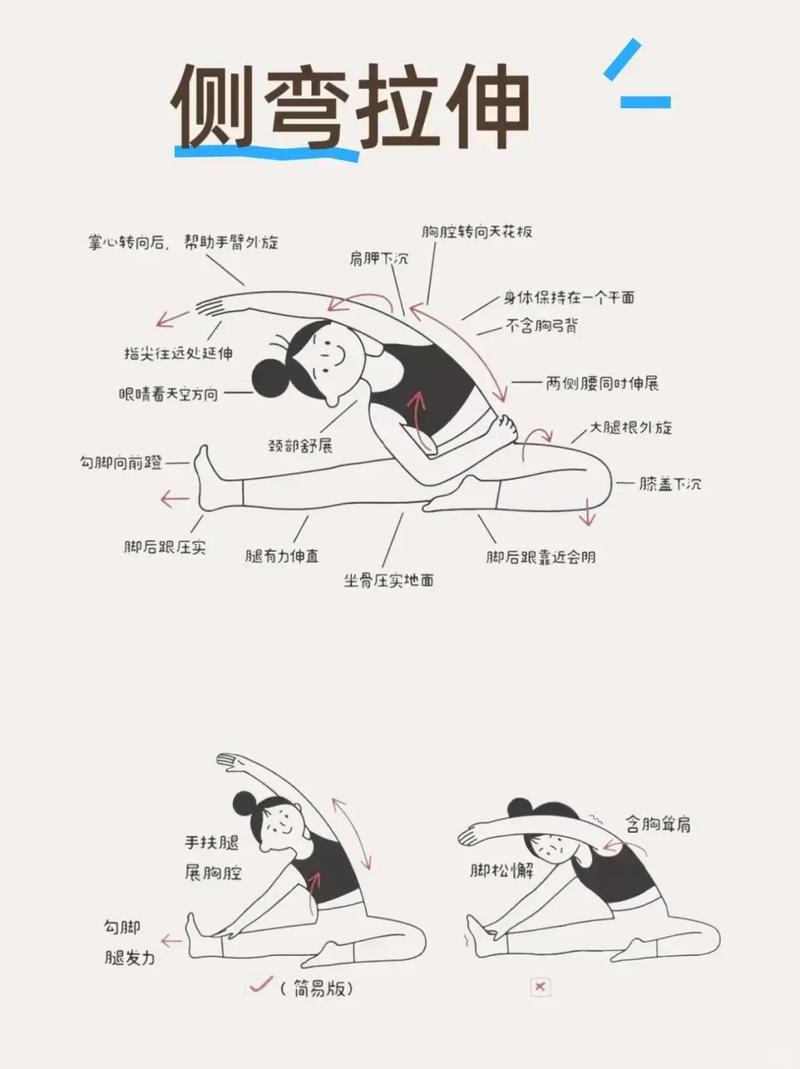 每天三次简单拉伸，嫩轻松瘦腹和改善循环吗？