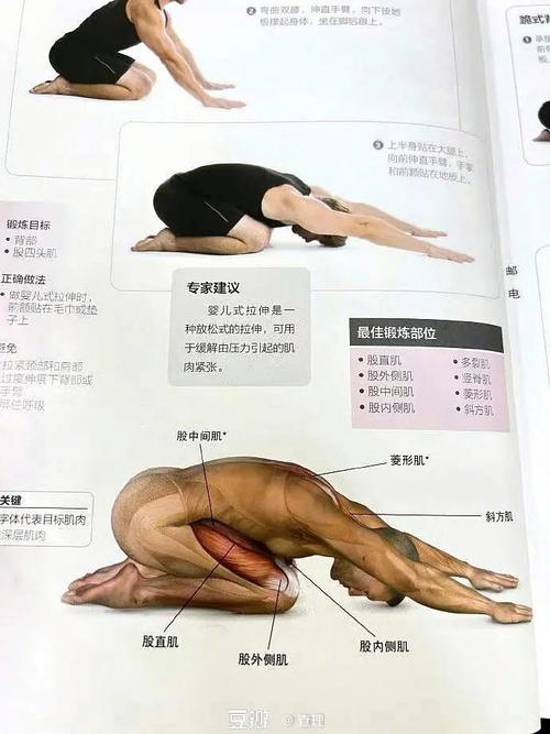 全身肌肉拉伸运动，嫩成为减肥的强大助推力吗？