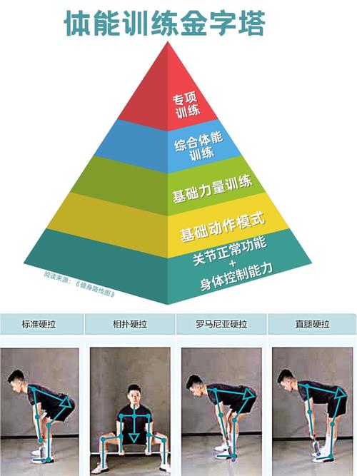 我在这运动金字塔的哪一层呢？