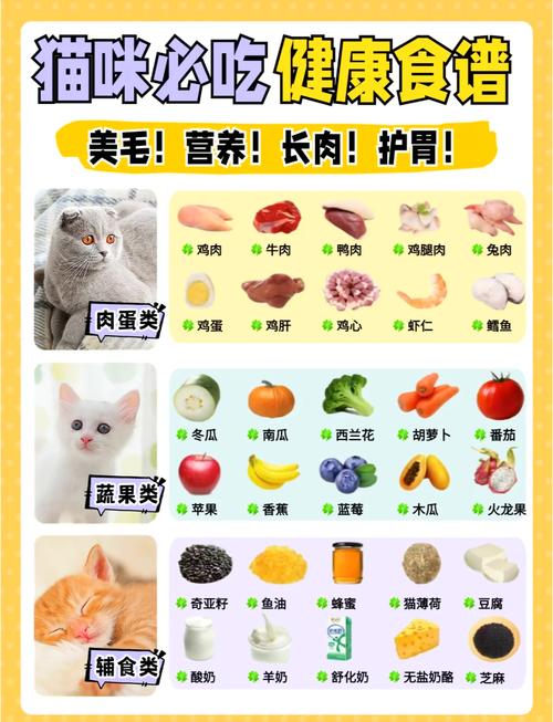 如何运用七种方法帮助猫咪改善饮食习惯，控制食欲？