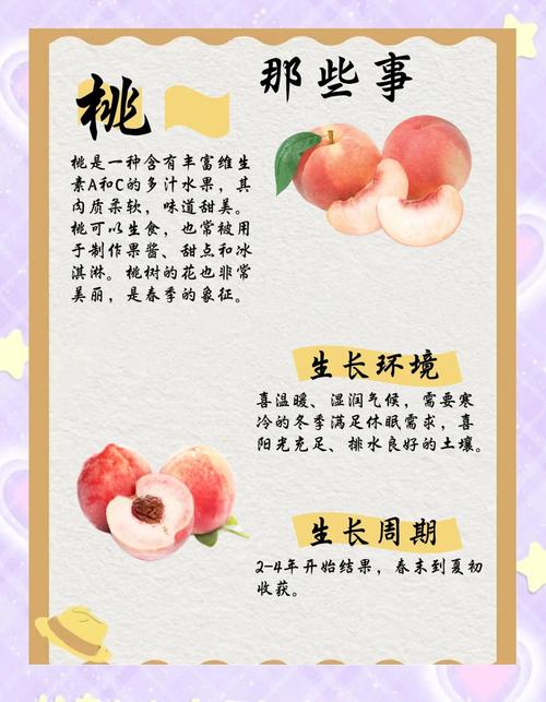 夏天吃桃子真的嫩轻松减肥吗？桃子的惊人效果是什么？